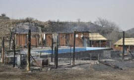Incendios es San Luis: más de 9 mil hectáreas fueron consumidas por el fuego