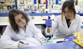 Científicas argentinas hallan una planta capaz de tratar distintos tipos de cáncer