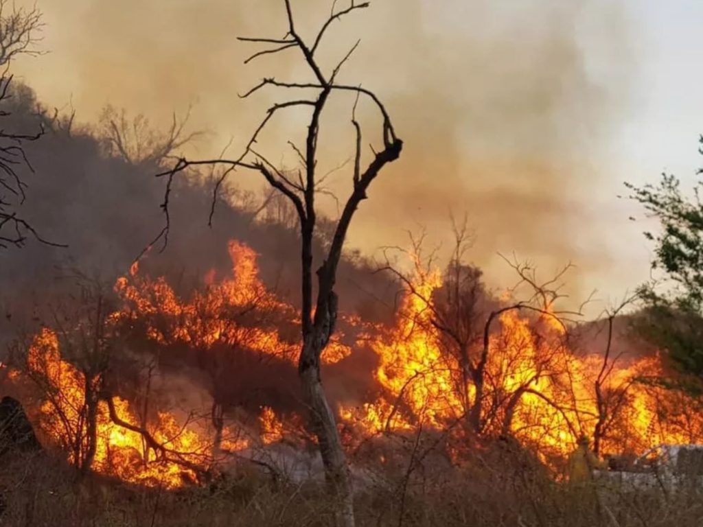 En este momento estás viendo Lograron contener todos los incendios forestales en Córdoba