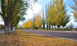 Anuncian un miércoles soleado con 21° de máxima