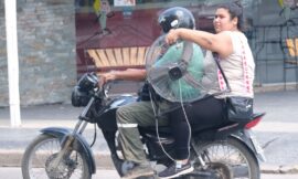 Ola de calor en la provincia: recomendaciones para transitar el calor extremo en los próximos días