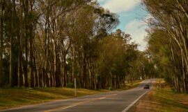 Anticipan un miércoles cálido con probabilidad de lluvias en la provincia