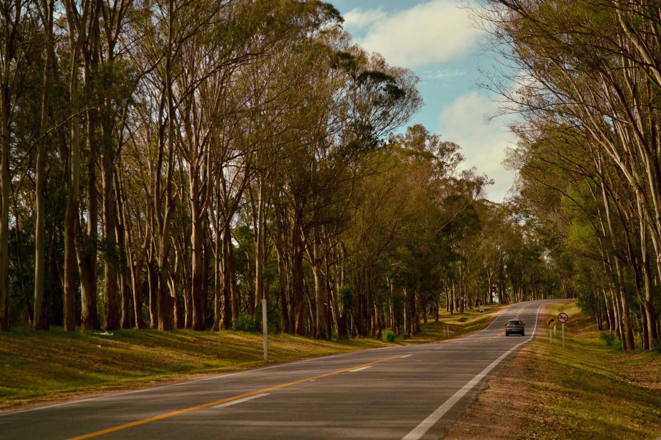 En este momento estás viendo Anticipan un miércoles cálido con probabilidad de lluvias en la provincia