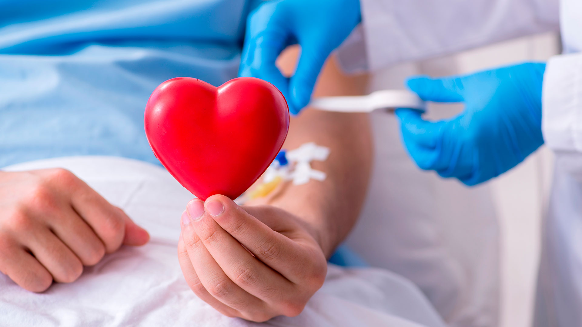 Lee más sobre el artículo Villa Mercedes será sede de las jornadas naciones de donación de sangre y médula ósea