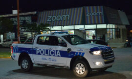 San Luis: denuncian que un móvil policial atropelló a una perra y se retiró del lugar