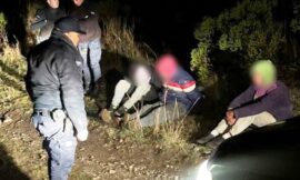 San Martín: imputaron a tres hombres por el intento de robo de 16 vacas y quedaron en libertad