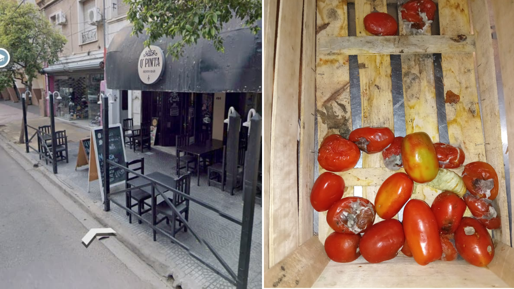 En este momento estás viendo Cucarachas y alimentos en mal estado: un exempleado denunció graves falencias de higiene en un local céntrico de San Luis