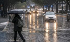 El Niño podría ser uno de los más intensos de la historia: qué zonas de Argentina están bajo mayor riesgo