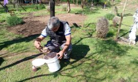 San Luis refuerza el control de la mosca de los frutos: liberaron machos estériles en cuatro localidades