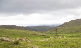 Pronostican un jueves nublado con precipitaciones a lo largo de toda la provincia