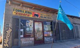 Cuarta vez que roban en una forrajería: el dueño reclama por la falta de seguridad que viven