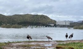Pronostican un viernes fresco y un fin de semana caluroso e inestable