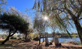 Pronostican un martes ventoso y con máximas que alcanzarán los 32°C