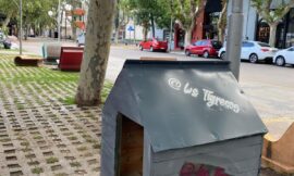 Invitan a una jornada para pintar casitas comunitarias para perros de la calle en Villa Mercedes