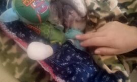 Lo llevó por una dermatitis y lo trajo en brazos sin vida: denuncian mala praxis en una veterinaria de Villa Mercedes