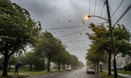 Anticipan la llegada de un “Súper El Niño” y advierten por su impacto en Argentina