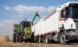 Transportistas de San Luis reclaman prioridad para los camiones locales tras el fin de la cosecha