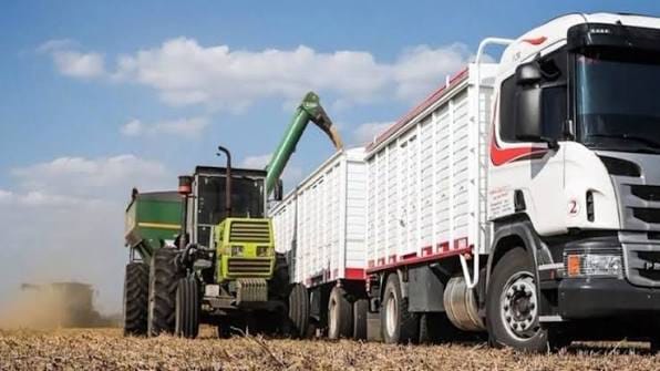 En este momento estás viendo Transportistas de San Luis reclaman prioridad para los camiones locales tras el fin de la cosecha