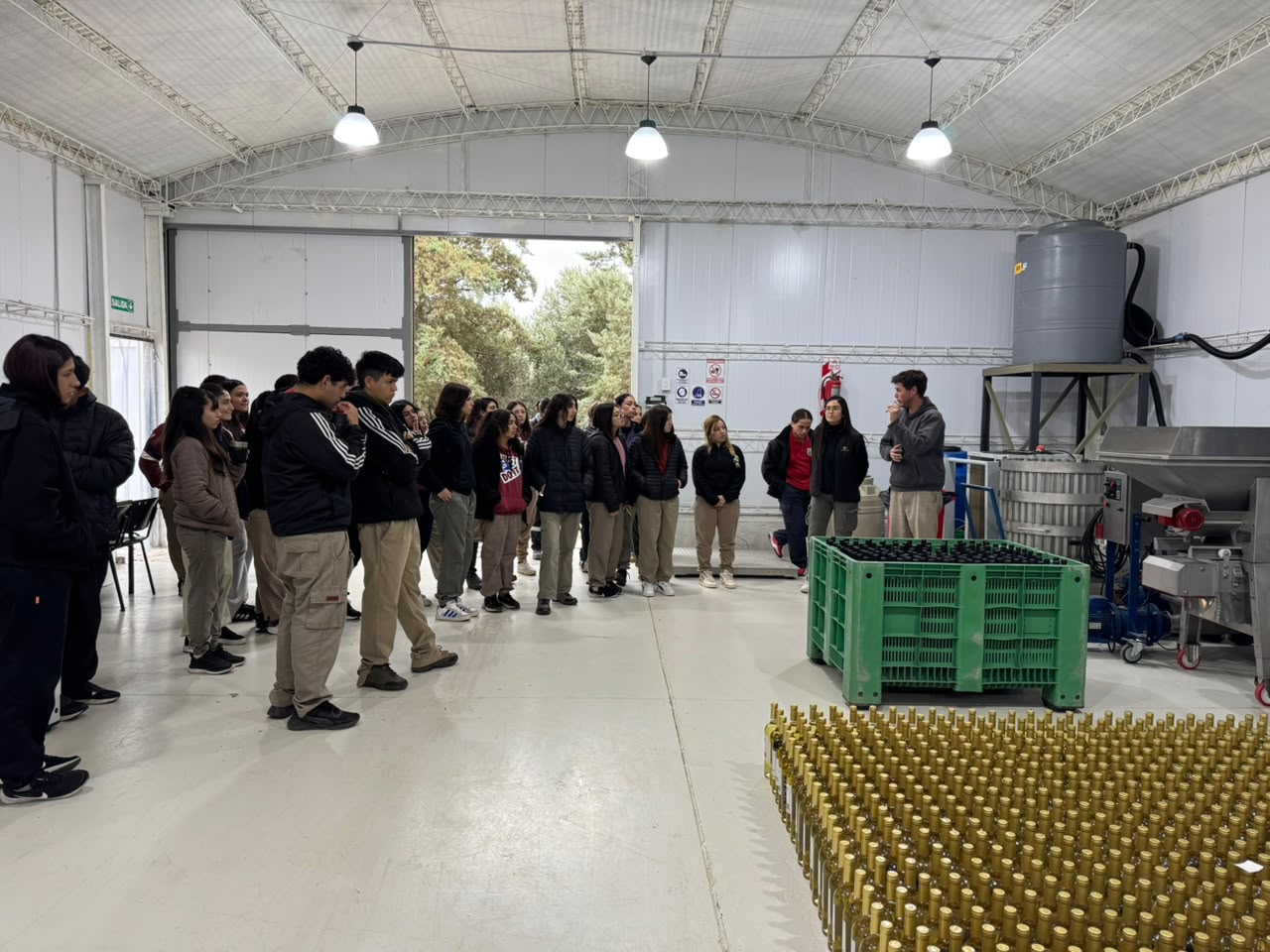 En este momento estás viendo Los vinos de Sol Puntano fueron premiados con cuatro medallas de oro en un certamen internacional