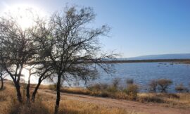 Anuncian un jueves algo ventoso pero con una tarde cálida