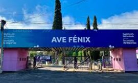 Rumbo a Salta 2025: Ave Fénix será sede del clasificatorio provincial de los juegos Evita para adultos mayores