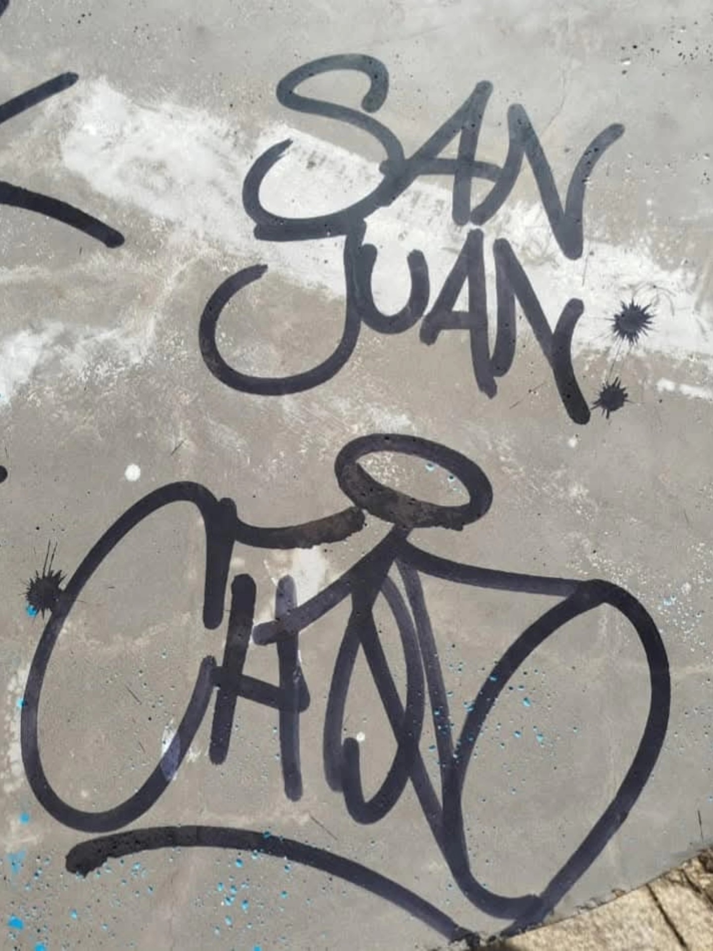 En este momento estás viendo Turistas vandalizaron el dique Luján y la Policía identificó a los posibles responsables