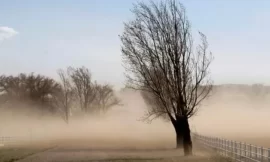 Fuertes vientos y bajas temperaturas marcan el inicio de la semana en San Luis
